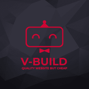 V- Build Website Development