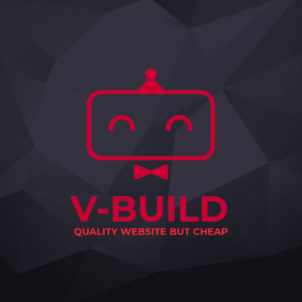 V- Build Website Development